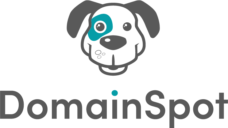 DomainSpot.com